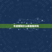 牛结婚和什么属相相冲吗，属牛和什么属相相冲