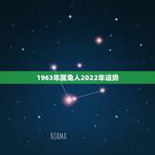 1963年属兔人2022年运势，1963年属兔人今日运势