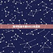 属牛的金牛座2022年运势，属牛的且是金牛座的今年运势？