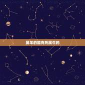 属羊的能克死属牛的，属牛和属羊我们结婚了