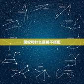 属蛇和什么属相不搭配，属蛇和什么属相不配