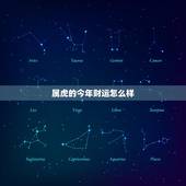 属虎的今年财运怎么样，未来五年生肖财运排行