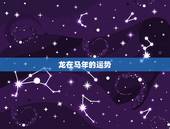 龙在马年的运势，今年是龙年，我想知道属马的运程