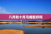 八月和十月马婚配好吗，八月出生属狗和九月出生属马婚姻相配吗