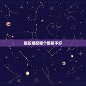 属蛇婚配哪个属相不好，属蛇和哪个属相不合适