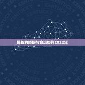 属蛇的婚姻与命运如何2022年，1990年出生的属马人的婚姻与命运