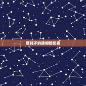 属耗子的属相婚配表，属鼠的属相婚配表 属鼠和什么生肖最配