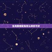 生肖猴婚配兔怎么样好不好，猴和兔生肖合适吗？