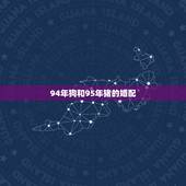 94年狗和95年猪的婚配，1994年属狗的婚配1995属猪好吗