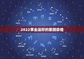 2022事业运好的紫微命格，斗数看2022年运势