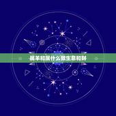 属羊和属什么做生意和财，属羊人2022 年全年运势