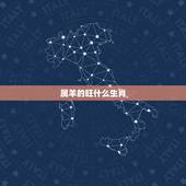 属羊的旺什么生肖，属羊佩戴什么生肖好