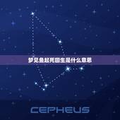 梦见鱼起死回生是什么意思，梦见奄奄一息的鱼给了什么意思