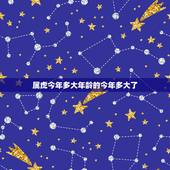 属虎今年多大年龄的今年多大了，属虎今年几岁了