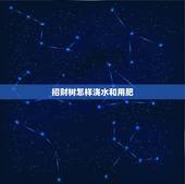 招财树怎样浇水和用肥，怎样养好招财树？