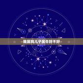 我属狗儿子属牛好不好，我属狗，妻子属牛，儿子属兔，我打算在2010年9