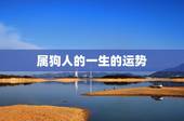 属狗人的一生的运势，属狗的人明年运势如何