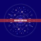 属虎请几眼天珠，属虎的人应该戴什么天珠