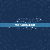 生辰八字匹配手机号，选择手机号码要与生辰八