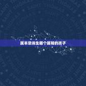 属羊忌讳生哪个属相的孩子，女儿属羊二胎属什么好