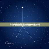 马和马相配婚姻如何在一起好吗，生肖马和生肖马配吗