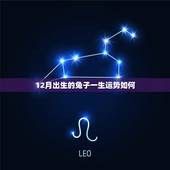 12月出生的兔子一生运势如何，十二月兔女的命运怎么样