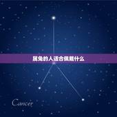 属兔的人适合佩戴什么，属兔财运数字