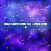 属相不合真的有道理吗 为什么蛇盘兔越过越富