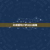 85年属牛37岁2022劫难 85年属牛人终身宿命
