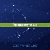 2022年属猴终于转运了 2022年属猴的重大贵人