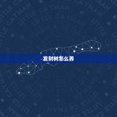 发财树怎么养，发财树怎么养？