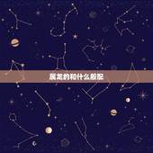 属龙的和什么般配，猴女和什么属相最般配