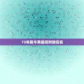 73年属牛男最招财微信名，男人招财又吉利的微信名字