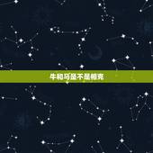牛和马是不是相克，牛马属相配有什么后果