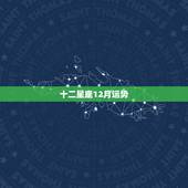 十二星座12月运势，十二星座本月的运势