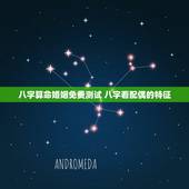 八字算命婚姻免费测试 八字看配偶的特征