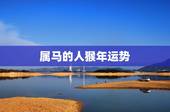 属马的人猴年运势，属马的人猴年运程