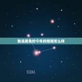 我是属兔的今年的婚姻怎么样，58岁双方都是属兔的婚姻什么情况？