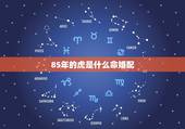 85年的虎是什么命婚配，属相85年牛和86年虎婚配相克吗？