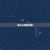 怎么让老鼠出来，怎么能把躲的老鼠给引出来