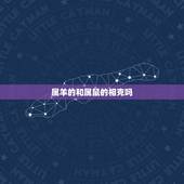 属羊的和属鼠的相克吗，鼠和羊在一起后果