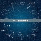 1977年出生的属相，1977年生什么属相？