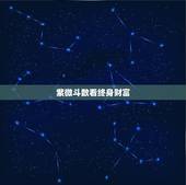 紫微斗数看终身财富，晚运好的紫微命盘