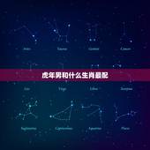 虎年男和什么生肖最配，虎年配什么生肖更好