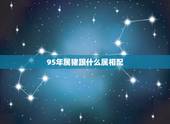 95年属猪跟什么属相配，95年的猪是什么命五行属什么