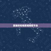 属猪的和啥属相婚配不合，属相婚配表之属猪的和什么属相最配