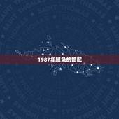 1987年属兔的婚配，87年属兔男的和什么属相最配