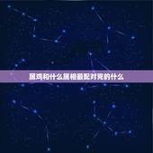 属鸡和什么属相最配对克的什么，蛇的生肖和什么生肖更好的