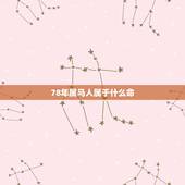 78年属马人属于什么命，1978年属马的人什么命