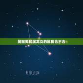 属猴男和属龙女的属相合不合，92年男猴和什么属相最配